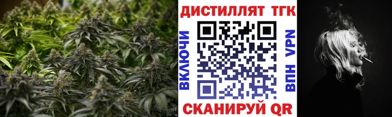 Дистиллят ТГК концентрат  как найти закладки  Купино 